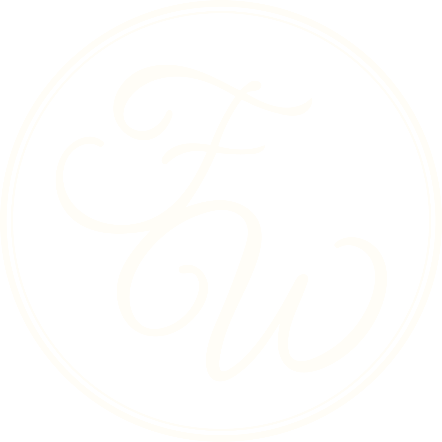 The Fancy Wedding